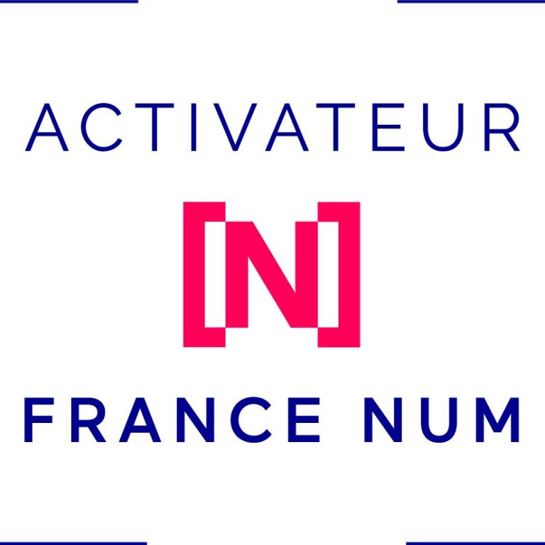 Analyse sur l'IA Logo d'Activateurs France Num, avec un "N" rouge au centre.